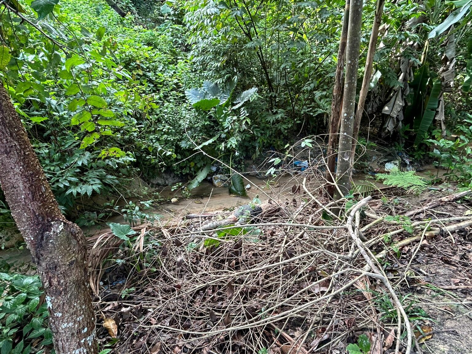 VIOLÊNCIA: Apodrecendo e cheio de moscas, corpo é encontrado em matagal na zona Leste; Imagem forte