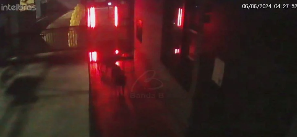 DESESPERADOR: Veja momento em que mulher m0rre sendo dev0rada por cães em casa de pr0stitu1ção