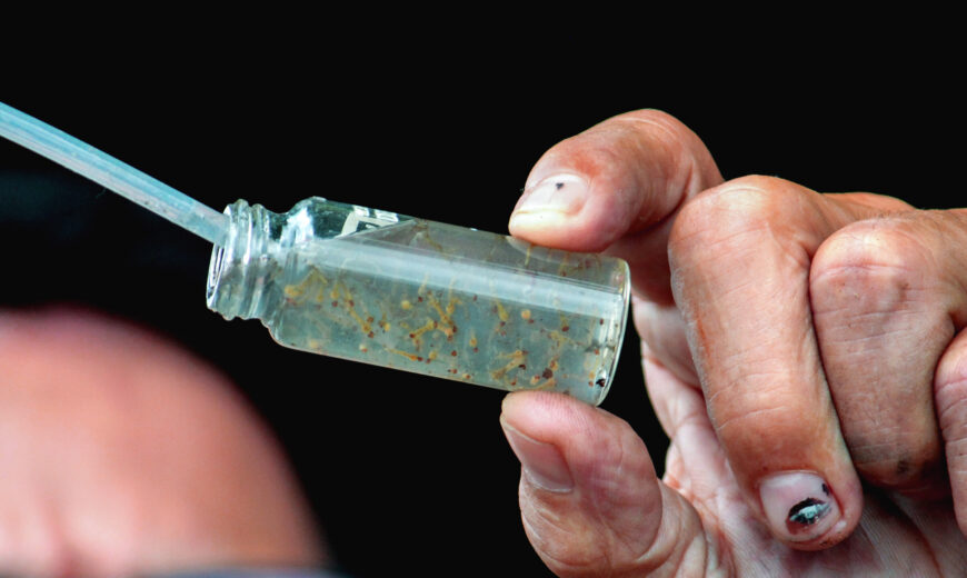 Governo de RO realiza mobilização estadual de combate à dengue neste sábado, 14