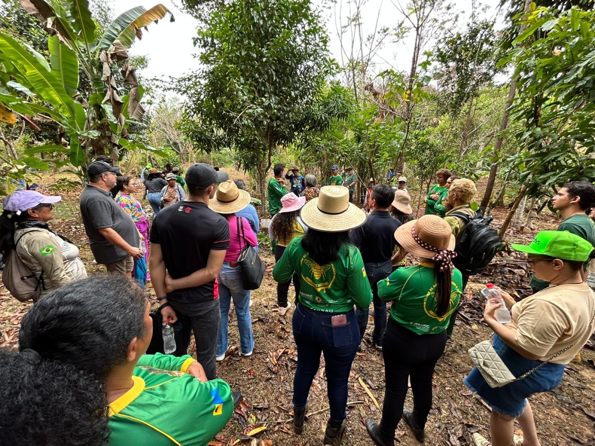Interesse pelas abelhas sem ferrão movimenta o 1º Workshop da Amazônia Ocidental sobre Meliponicultura