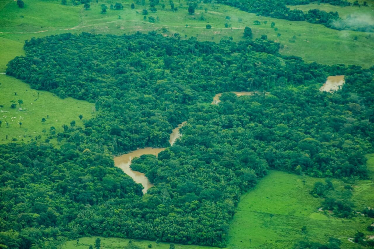 Rondônia tem redução de 35% na taxa de desmatamento entre o período de agosto de 2024 a julho de 2025