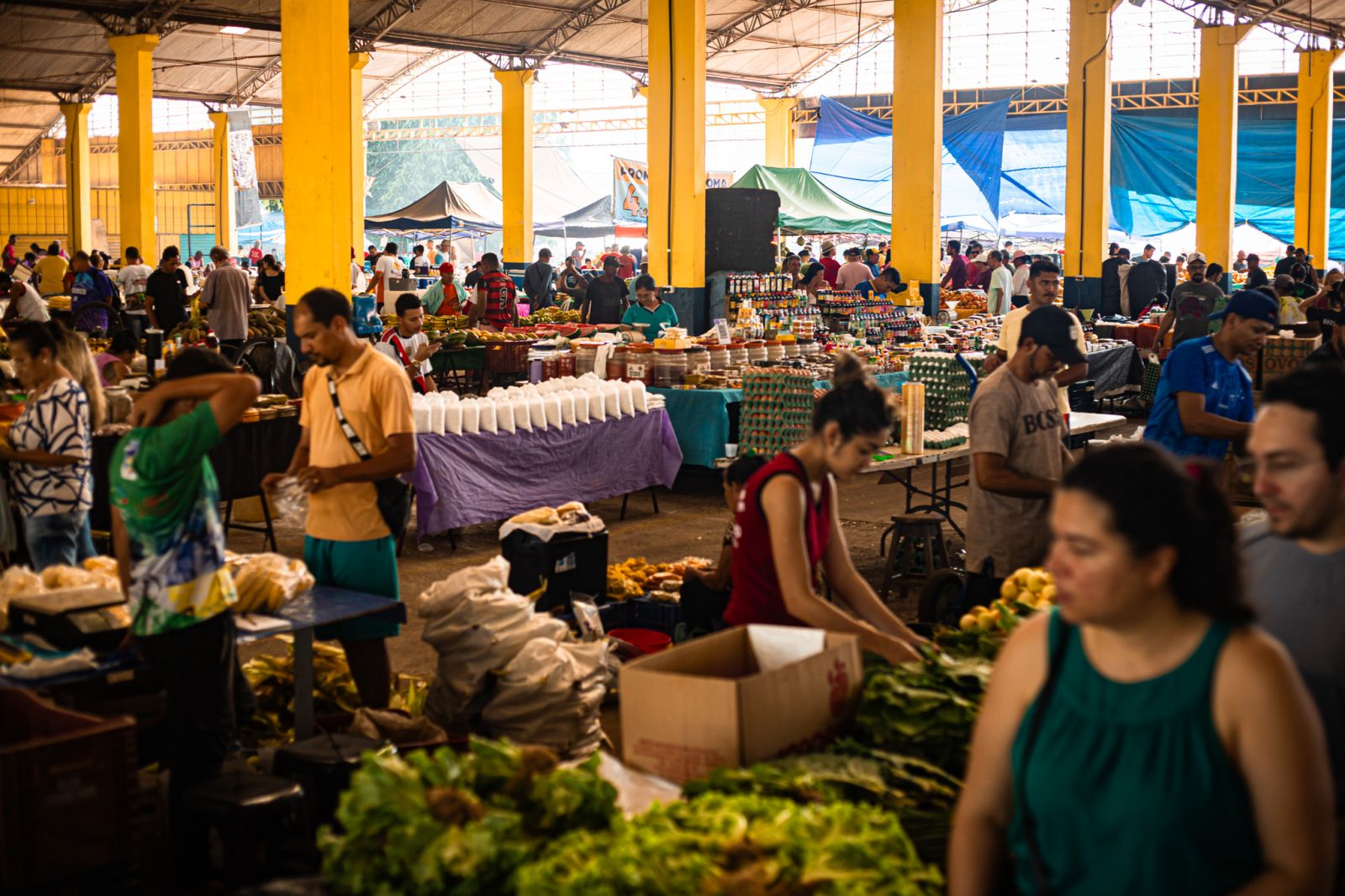 Prefeitura de Porto Velho enaltece e destaca a importância desses profissionais