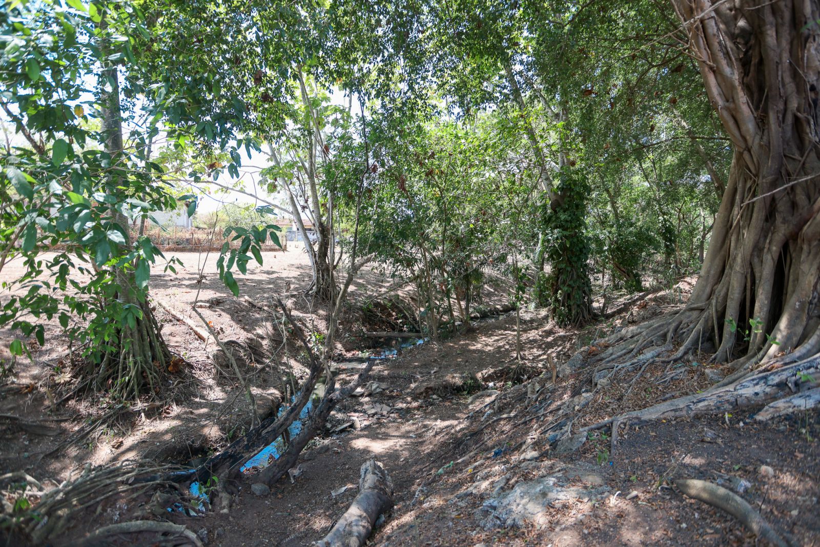 Bairro São João Bosco recebe limpeza inédita em área de preservação