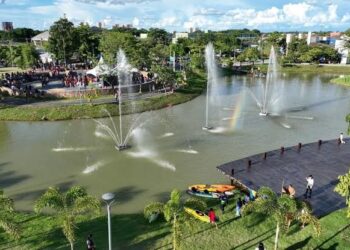 Porto Velho celebra o Dia da Árvore com programação gratuita no Parque da Cidade