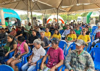 Parceria fortalece e impulsiona cadeia do mel em Porto Velho