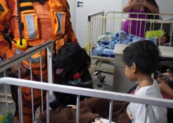 Alegria e carinho são levados a pacientes do Hospital Infantil Cosme e Damião por meio de Terapia Assistida por Animais