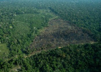 Governo de RO assume papel estratégico no enfrentamento do desmatamento da Amazônia Legal