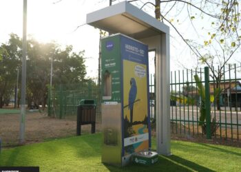 Saiba como aproveitar atividades físicas no calor amazônico