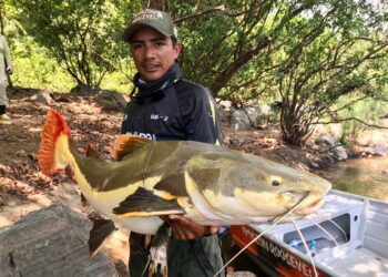 Vila Nova de Teotônio volta ao mapa turístico com o PVH Pesca Show 2025