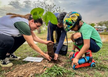 Evento no Parque da Cidade reúne comunidade em celebração ao Dia da Árvore