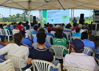 Produtores de Ariquemes batem recorde de produção leiteira com incentivo do governo de RO e ações do Consultec