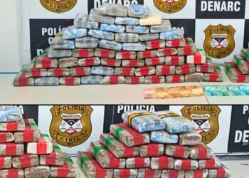 “SKANK”: Denarc prende quatro pessoas e apreende 70 Kg de maconha durante operação