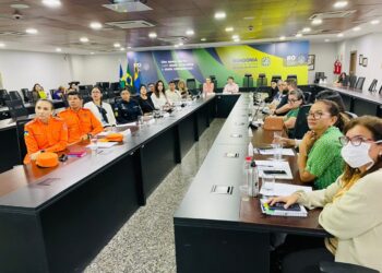Diagnóstico da Primeira Infância é apresentado durante reunião do Comitê Estadual Intersetorial de Políticas Públicas