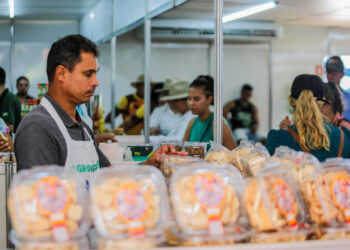 Governo de RO amplia oferta de empregos com mais de 2,9 mil vagas abertas no Sine