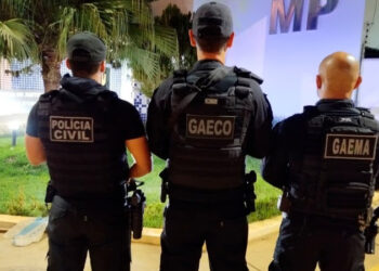 MPRO deflagra a segunda fase da Operação Arigós, visando desarticular financeiramente associação criminosa atuante em Unidade de Conservação