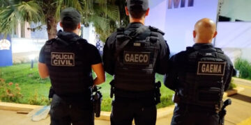 MPRO deflagra a segunda fase da Operação Arigós, visando desarticular financeiramente associação criminosa atuante em Unidade de Conservação