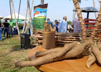 Agrotec celebra a força e o crescimento da agricultura familiar de Porto Velho