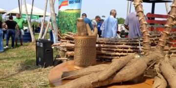 Agrotec celebra a força e o crescimento da agricultura familiar de Porto Velho