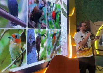 Prefeitura envia projeto de lei para transformar cidade em Capital do Turismo de Observação de Aves