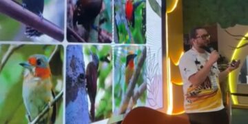 Prefeitura envia projeto de lei para transformar cidade em Capital do Turismo de Observação de Aves