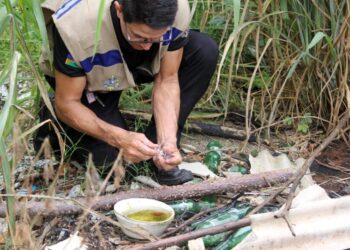 Ações para proteger a população contra dengue são reforçadas pelo governo de RO; importância da vacina é destacada