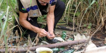 Ações para proteger a população contra dengue são reforçadas pelo governo de RO; importância da vacina é destacada