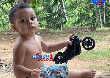 URGENTE: Criança de 2 anos é encontrada sem vida após 16 horas desaparecida em área de mata